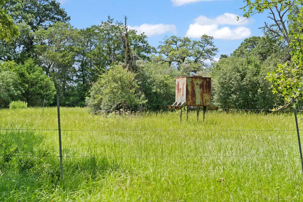 11 St Delight Road Paige, TX 78659