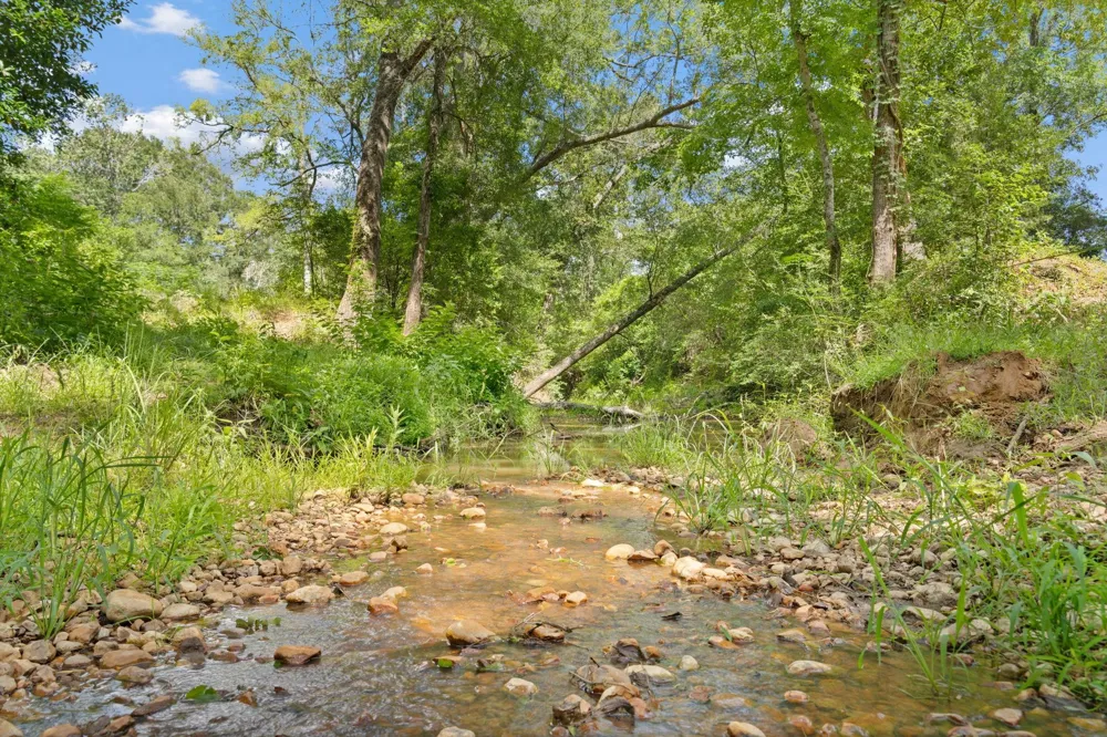 11 St Delight Road Paige, TX 78659