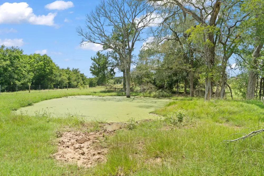 11 St Delight Road Paige, TX 78659