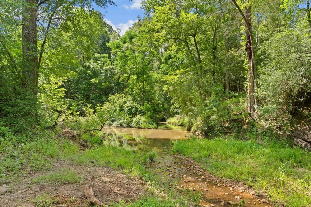 11 St Delight Road Paige, TX 78659
