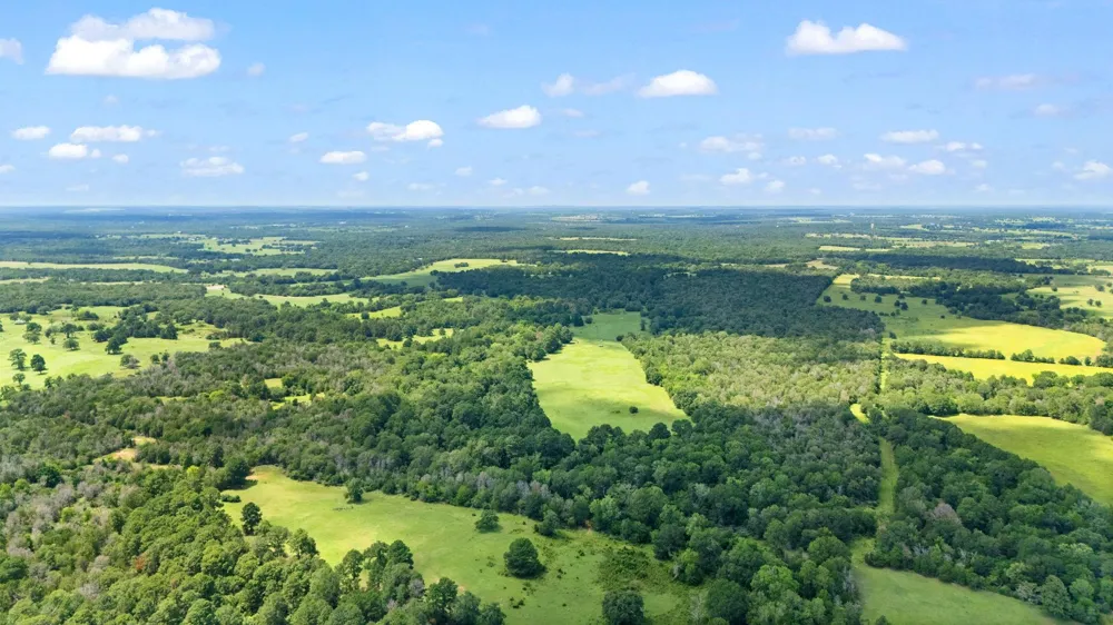 11 St Delight Road Paige, TX 78659