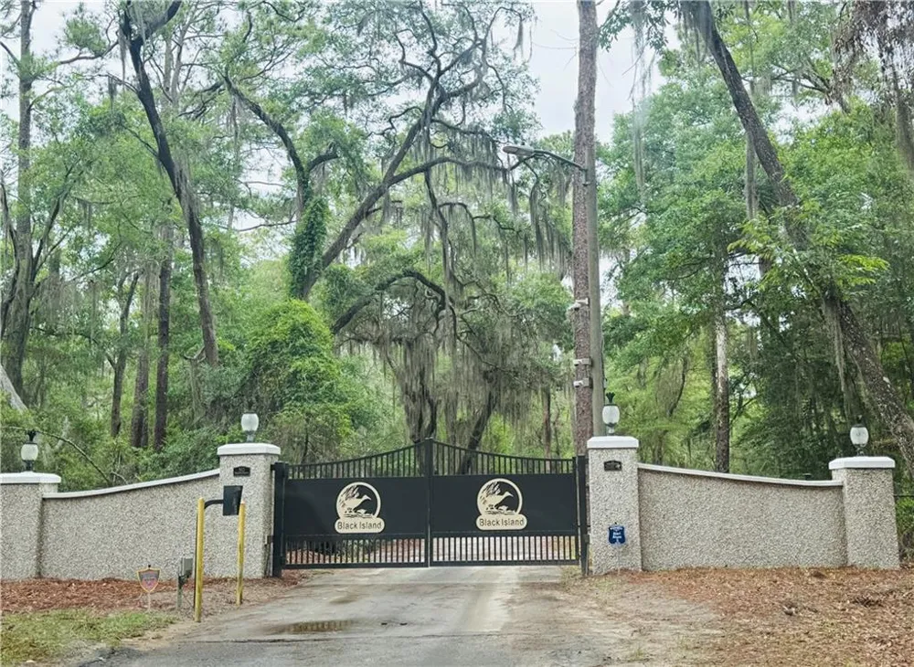 1525 W Black Island Road Darien, GA 31305