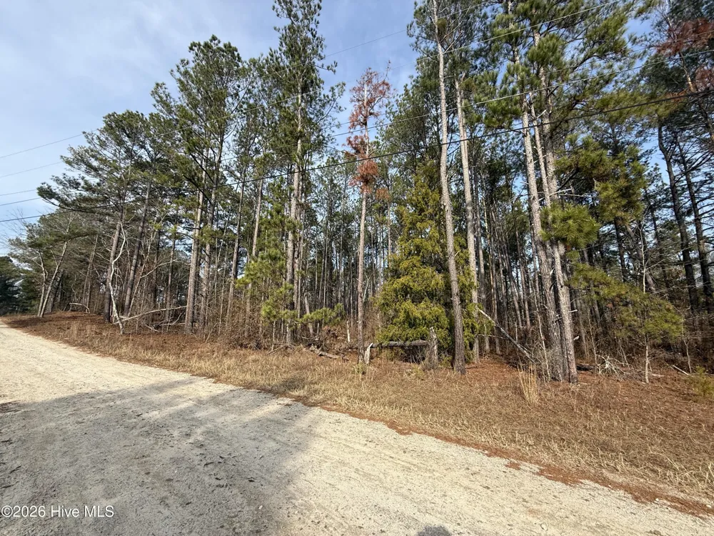 165 Wayne Lane Hephzibah, GA 30815