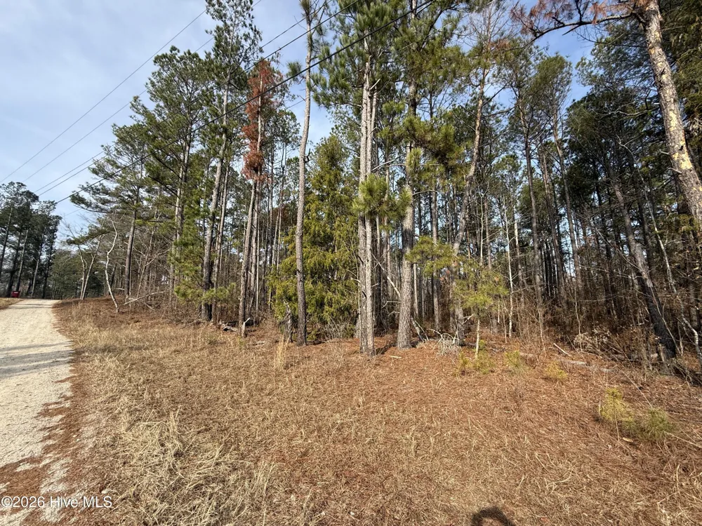 165 Wayne Lane Hephzibah, GA 30815
