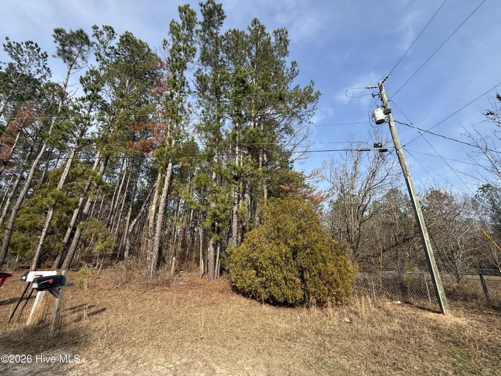 165 Wayne Lane Hephzibah, GA 30815