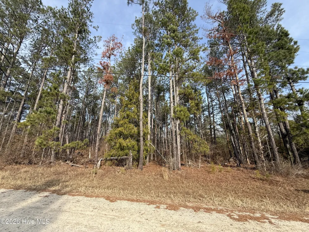 165 Wayne Lane Hephzibah, GA 30815