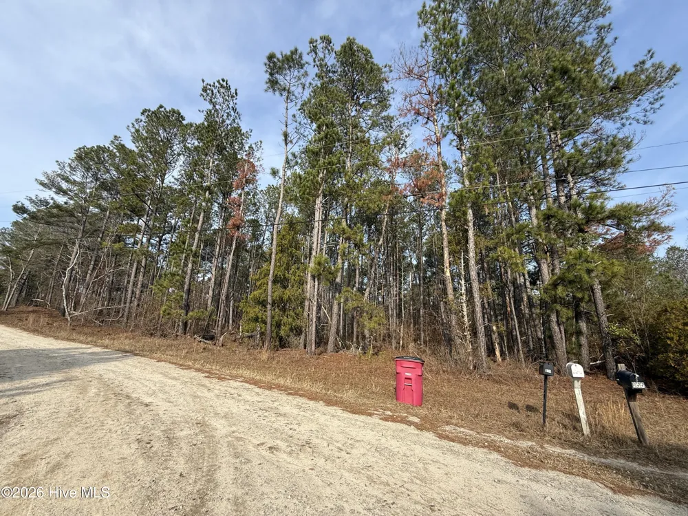 165 Wayne Lane Hephzibah, GA 30815