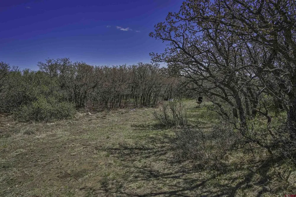CL&L Lot 93 Walsenburg, CO 81089