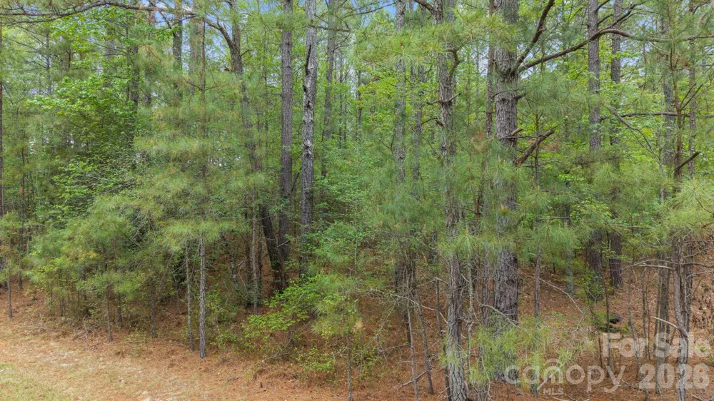Vacant Davis Haywood Road Mount Gilead, NC 27306