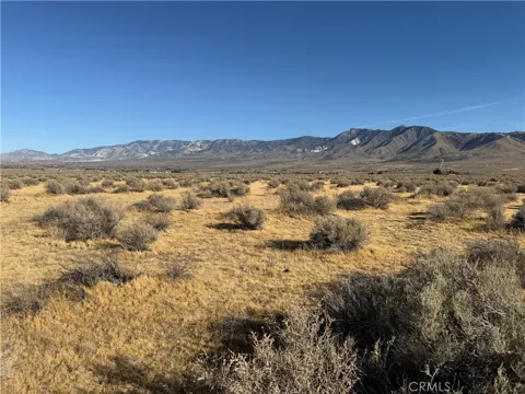 Lucerne Valley