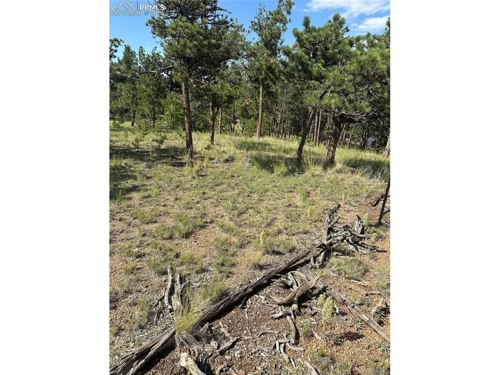 315 Thunder Ridge Road Florissant, CO 80816