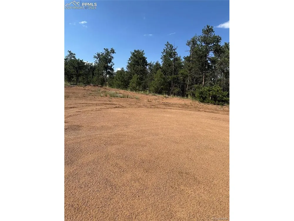 315 Thunder Ridge Road Florissant, CO 80816