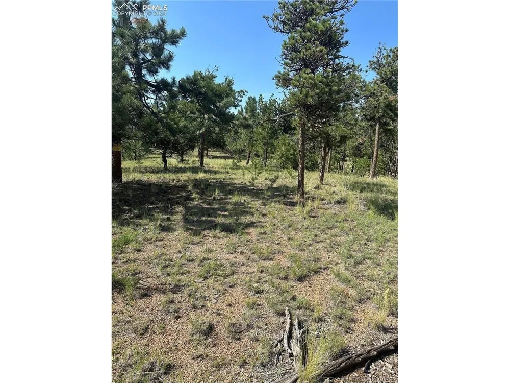 315 Thunder Ridge Road Florissant, CO 80816
