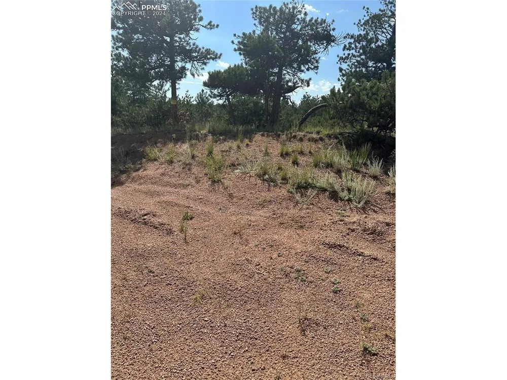 315 Thunder Ridge Road Florissant, CO 80816