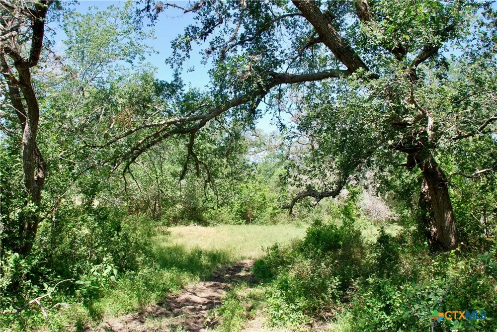 1049 Muehr Road Weimar, TX 78962