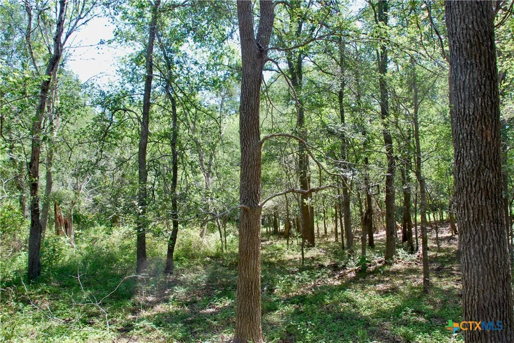 1049 Muehr Road Weimar, TX 78962