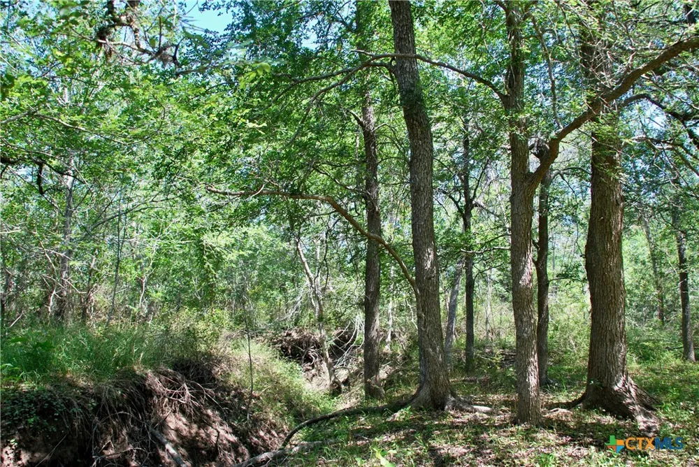 1049 Muehr Road Weimar, TX 78962