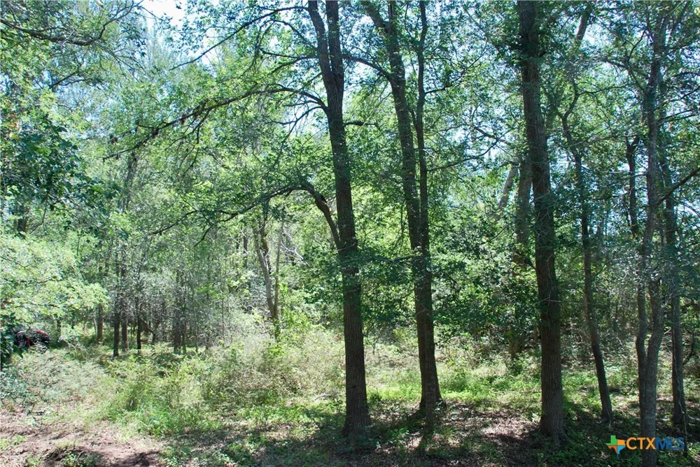 1049 Muehr Road Weimar, TX 78962