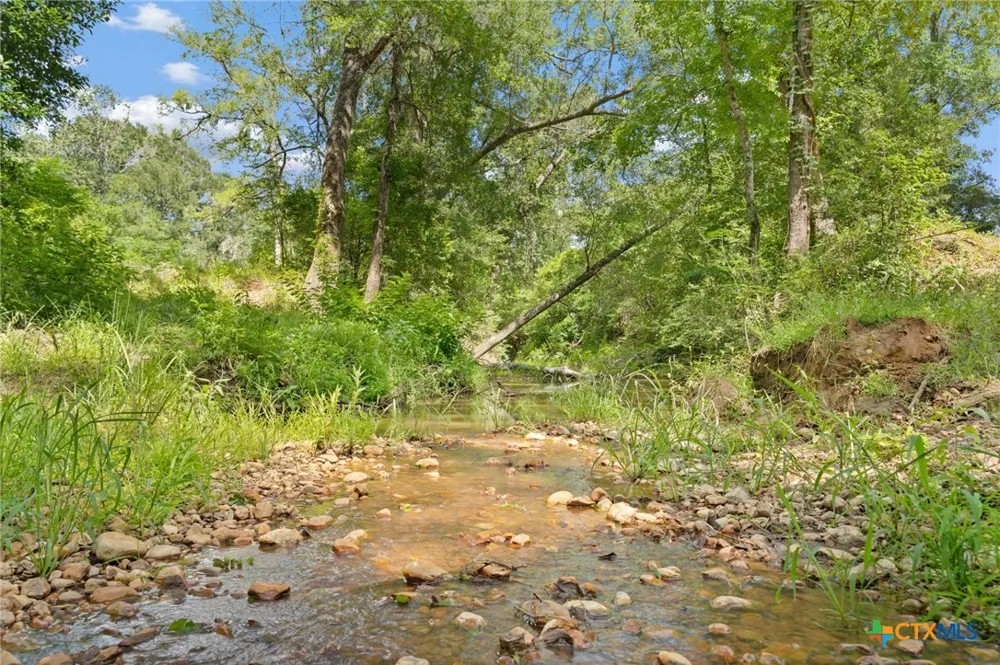(Tracts 11 & 12) St Delight Paige, TX 78659