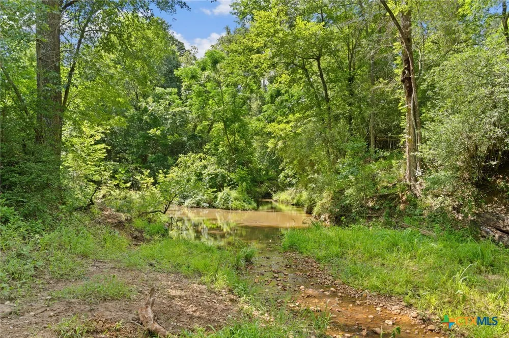 (Tracts 11 & 12) St Delight Paige, TX 78659