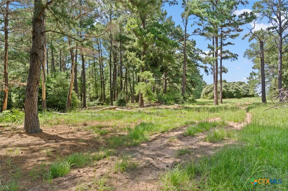 (Tracts 11 & 12) St Delight Paige, TX 78659