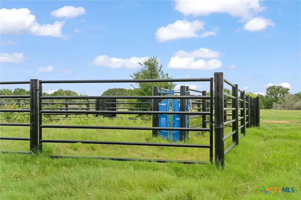 (Tracts 11 & 12) St Delight Paige, TX 78659