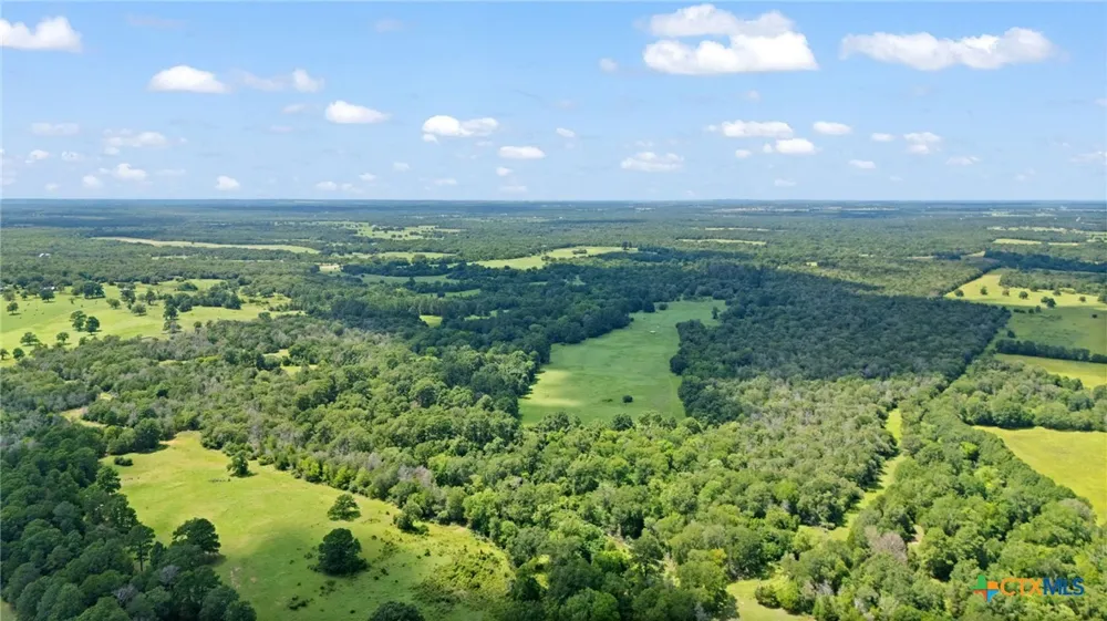 (Tracts 11 & 12) St Delight Paige, TX 78659