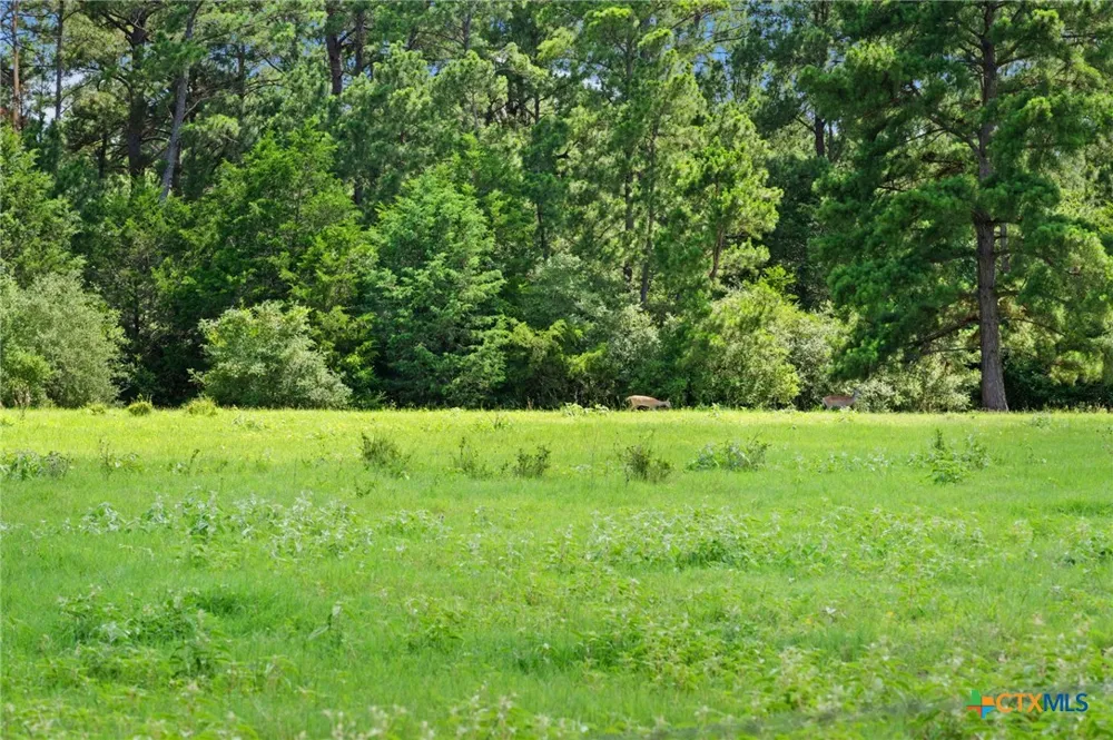 (Tracts 11 & 12) St Delight Paige, TX 78659