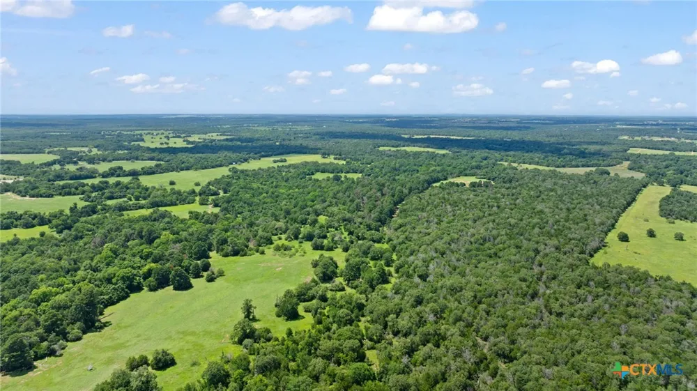(Tracts 11 & 12) St Delight Paige, TX 78659
