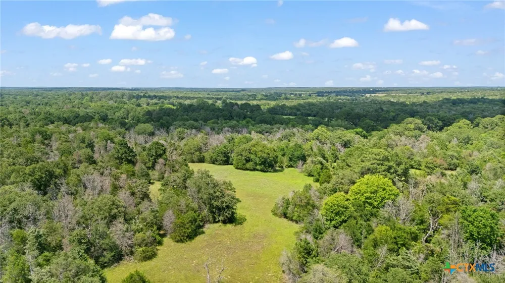 (Tracts 11 & 12) St Delight Paige, TX 78659