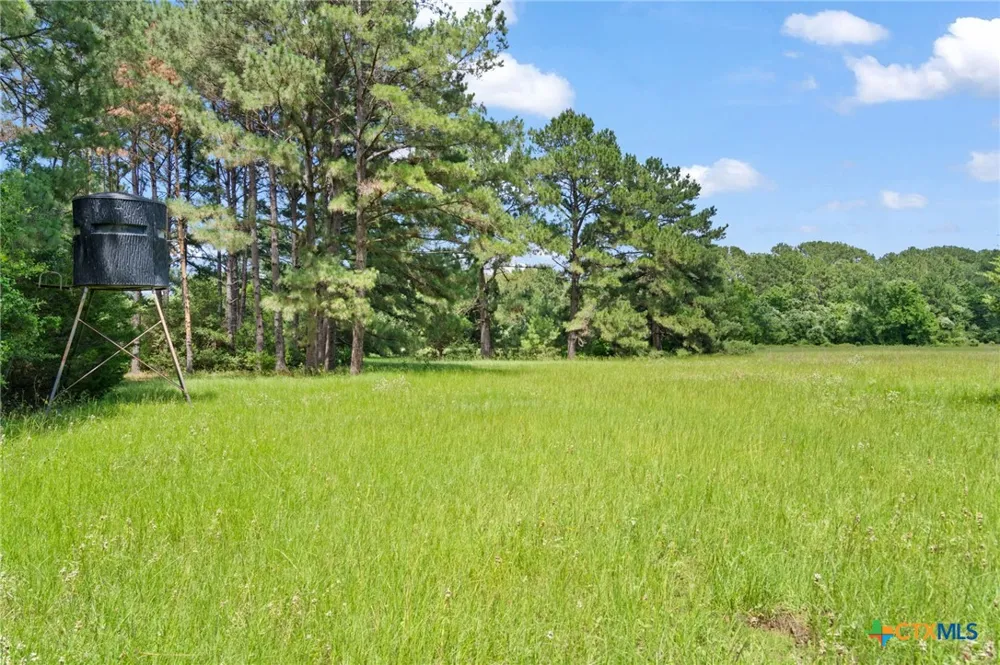 (Tracts 11 & 12) St Delight Paige, TX 78659