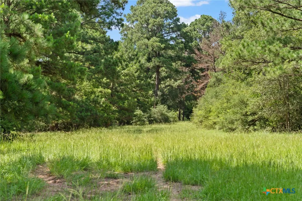 (Tracts 11 & 12) St Delight Paige, TX 78659