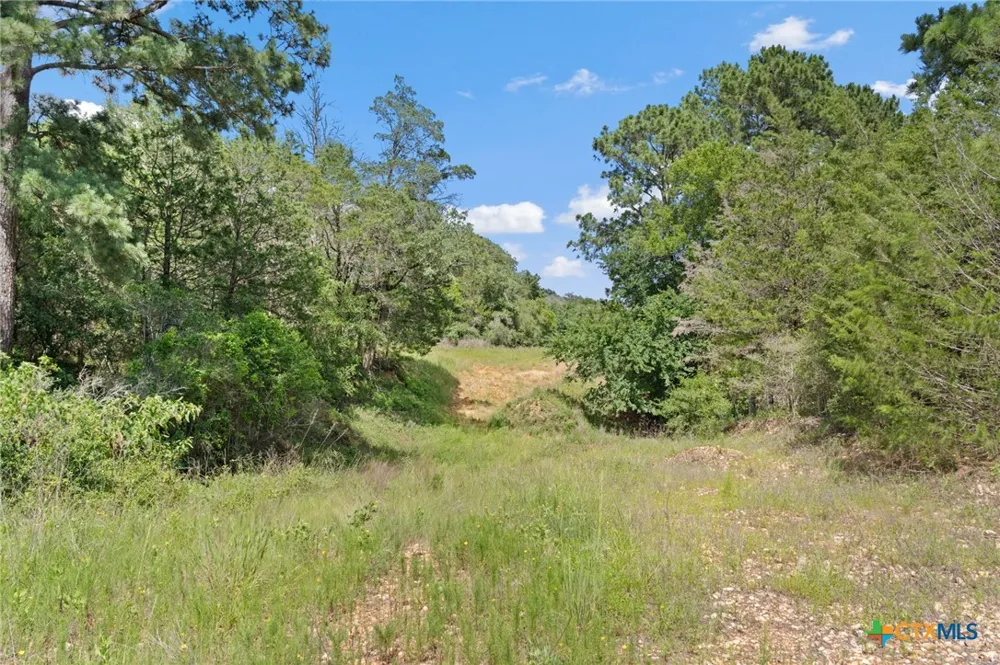 (Tracts 11 & 12) St Delight Paige, TX 78659