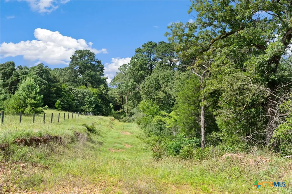 (Tracts 11 & 12) St Delight Paige, TX 78659