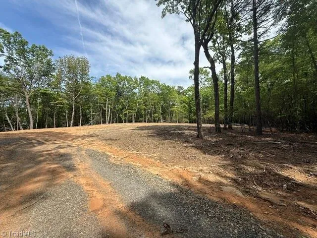 00 Chestnut Mountain Farms Parkway McGrady, NC 28649