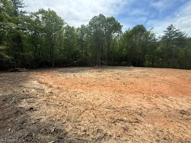 00 Chestnut Mountain Farms Parkway McGrady, NC 28649