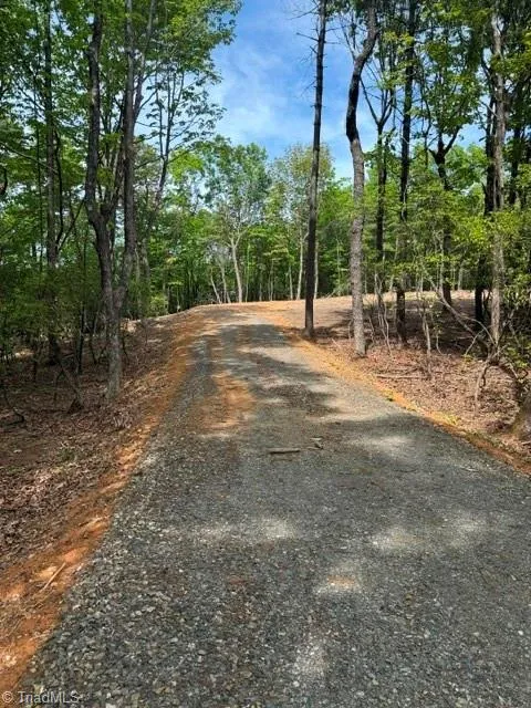 00 Chestnut Mountain Farms Parkway McGrady, NC 28649