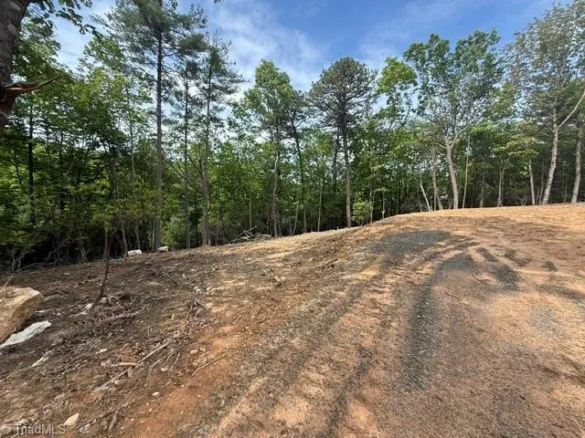 00 Chestnut Mountain Farms Parkway McGrady, NC 28649