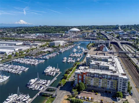 1705 Dock Street #513