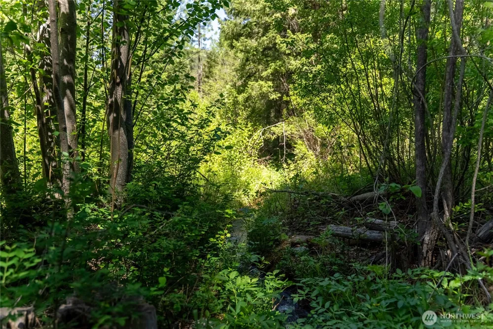 37 E Buttermilk Creek Road Twisp, WA 98856