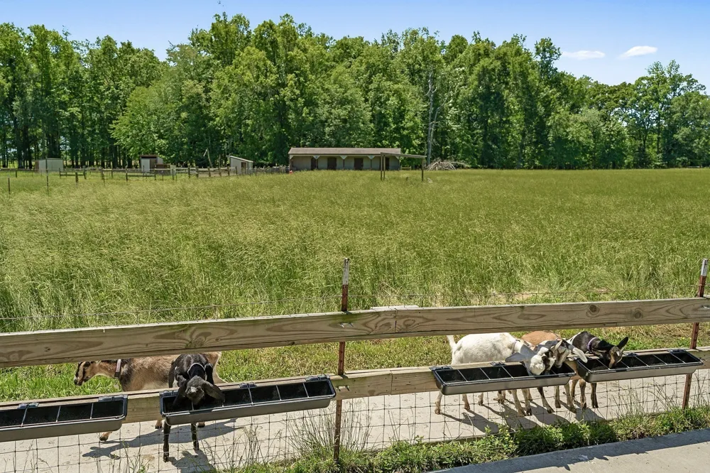 285 Harmony Ln Smithville, TN 37166