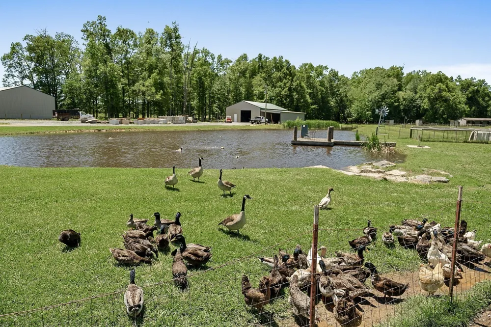 285 Harmony Ln Smithville, TN 37166
