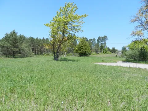 6274 S US-31