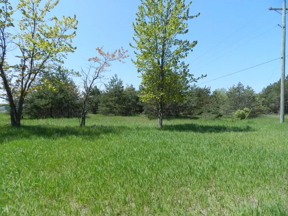 6274 S US-31 Green Lake Township, MI 49637