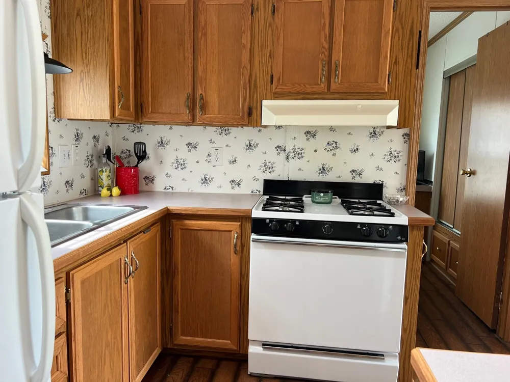 2221 Grass Lake Avenue Freeman Township, MI 48632