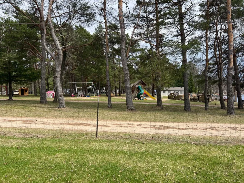 2221 Grass Lake Avenue Freeman Township, MI 48632