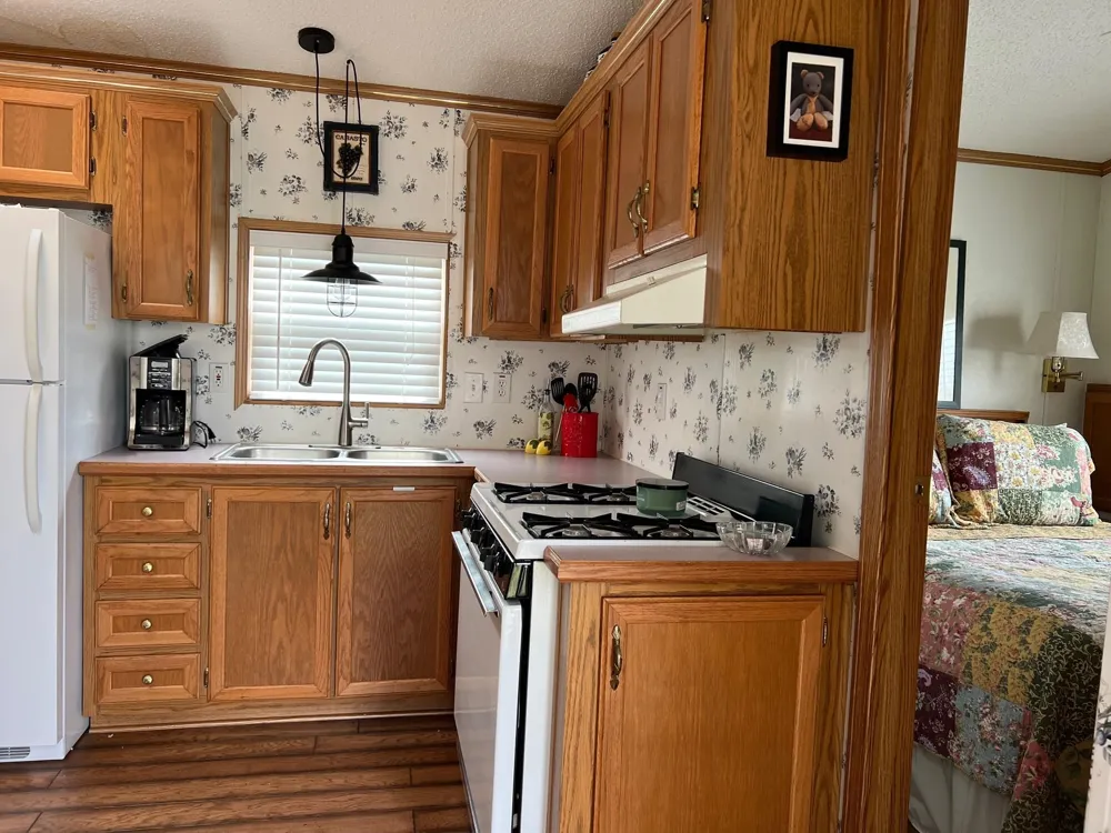 2221 Grass Lake Avenue Freeman Township, MI 48632