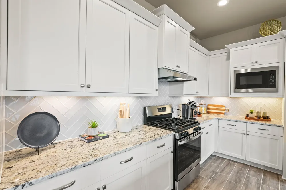 425 Blue Vervain Trail Georgetown, TX 78633