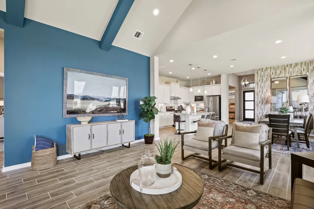425 Blue Vervain Trail Georgetown, TX 78633