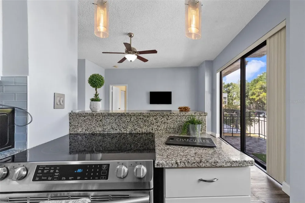 2109 BAYSHORE BOULEVARD #205 Tampa, FL 33606